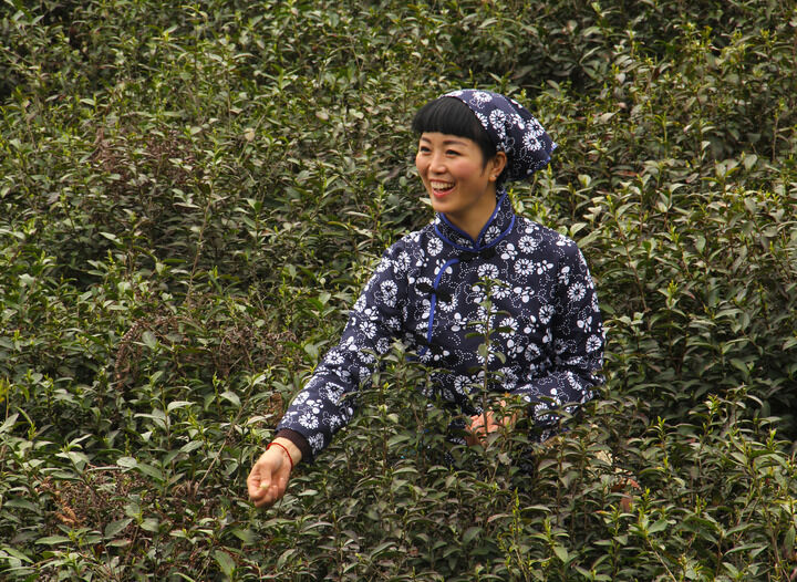 双碟秀直播 侦探的审讯